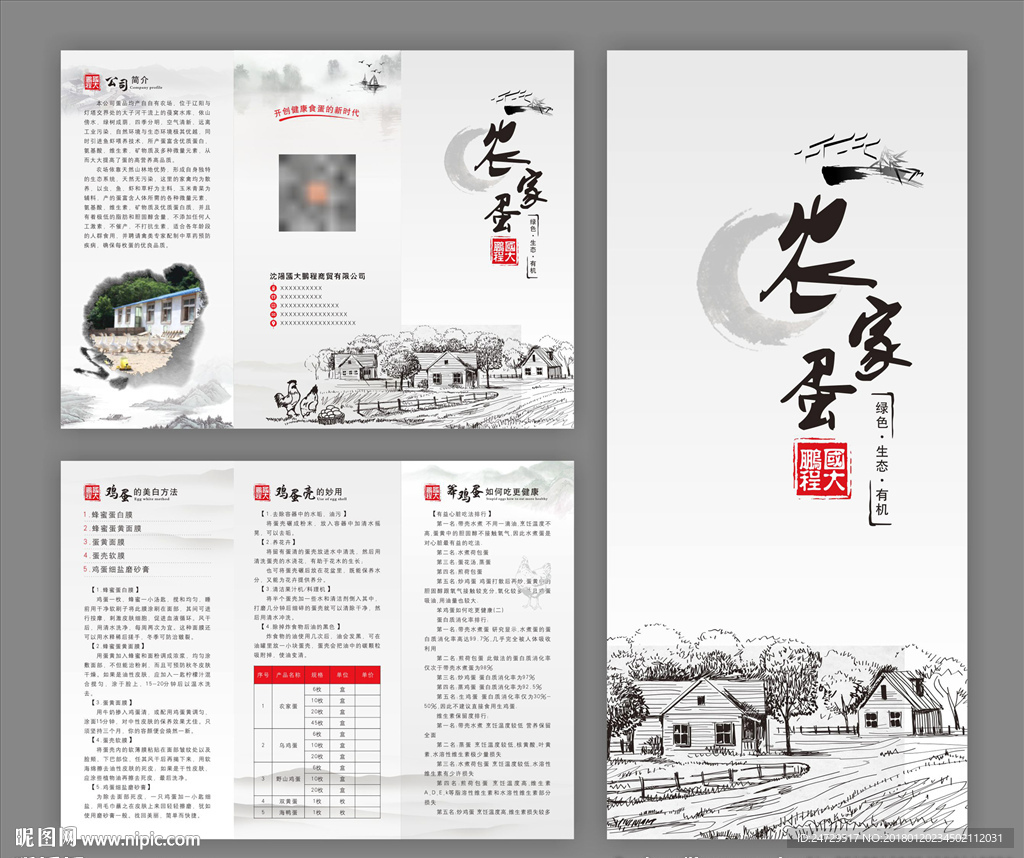 鸡蛋 三折页-平面设计图