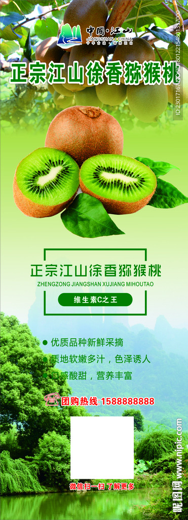 徐香 猕猴桃 江山 健康 绿色