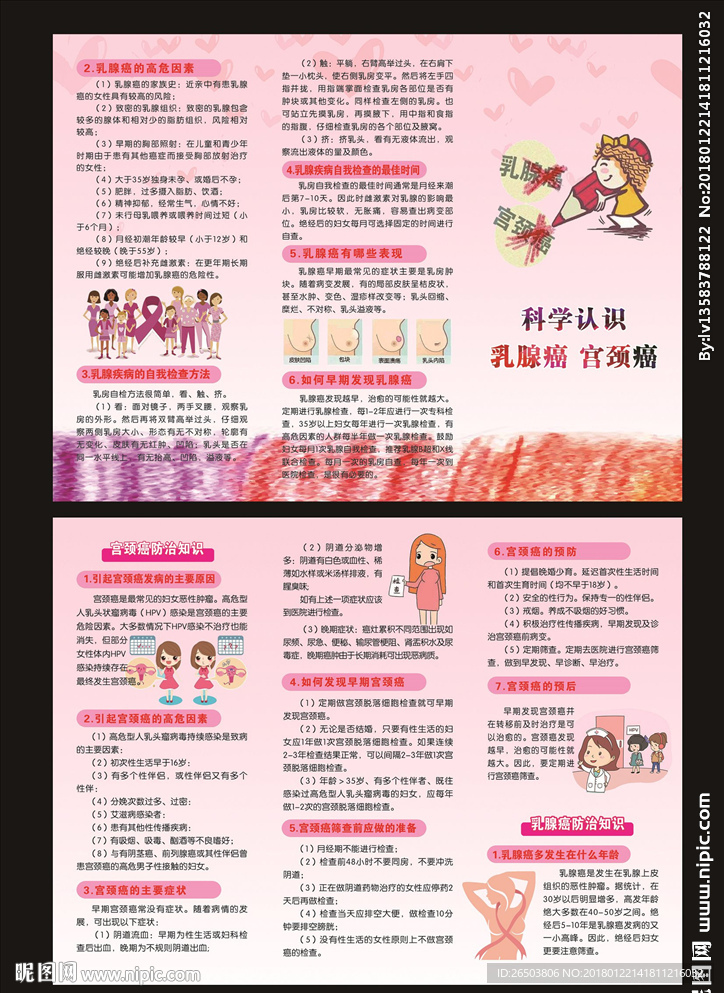 乳腺癌 宫颈癌折页