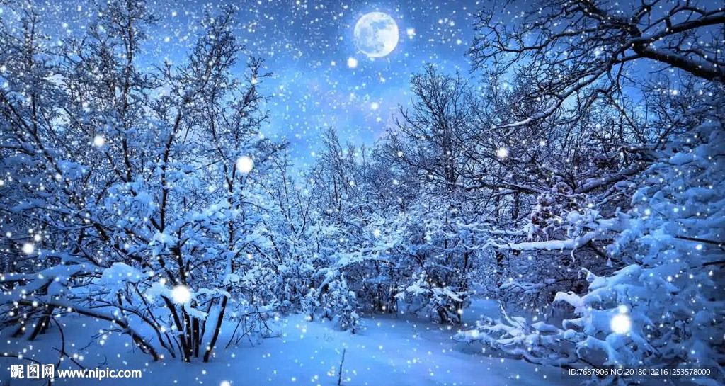雪中月亮