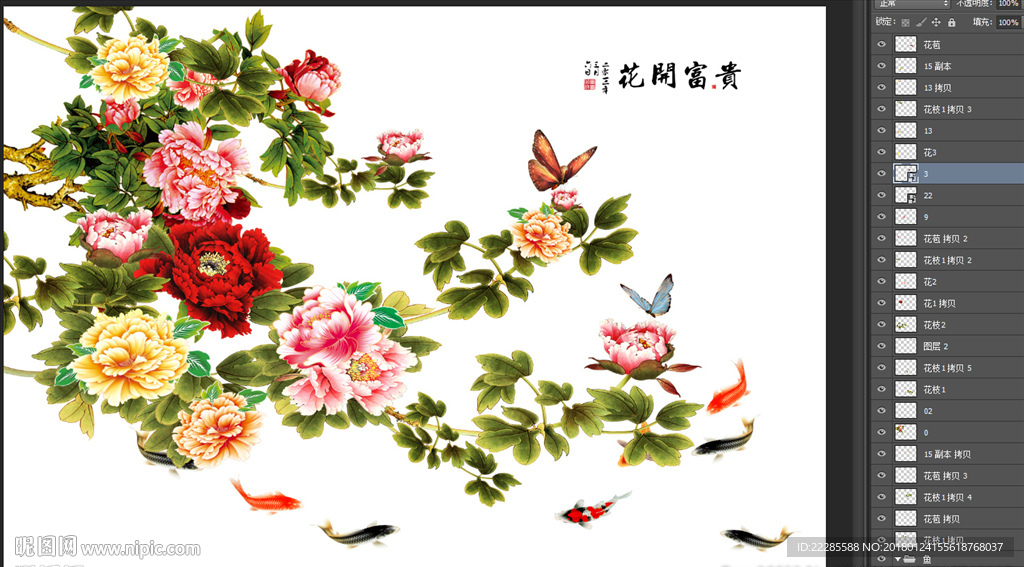 牡丹花