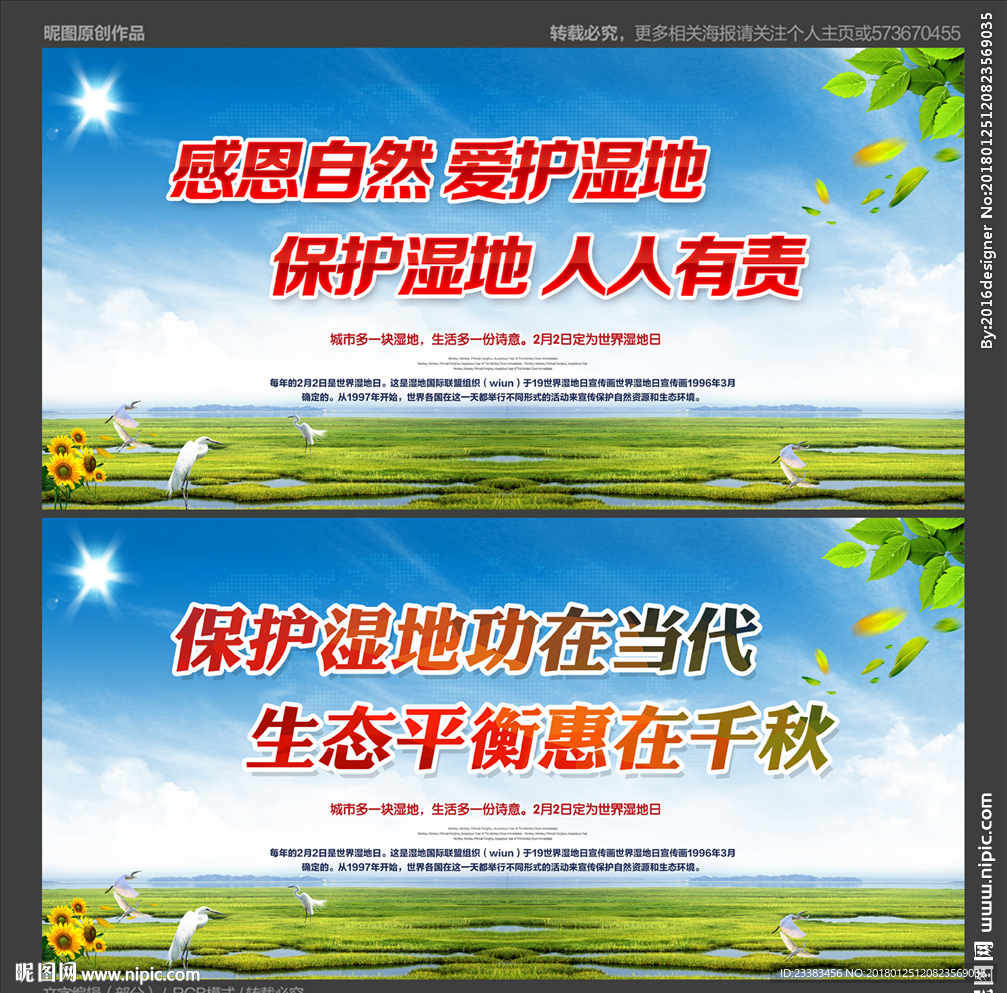 湿地