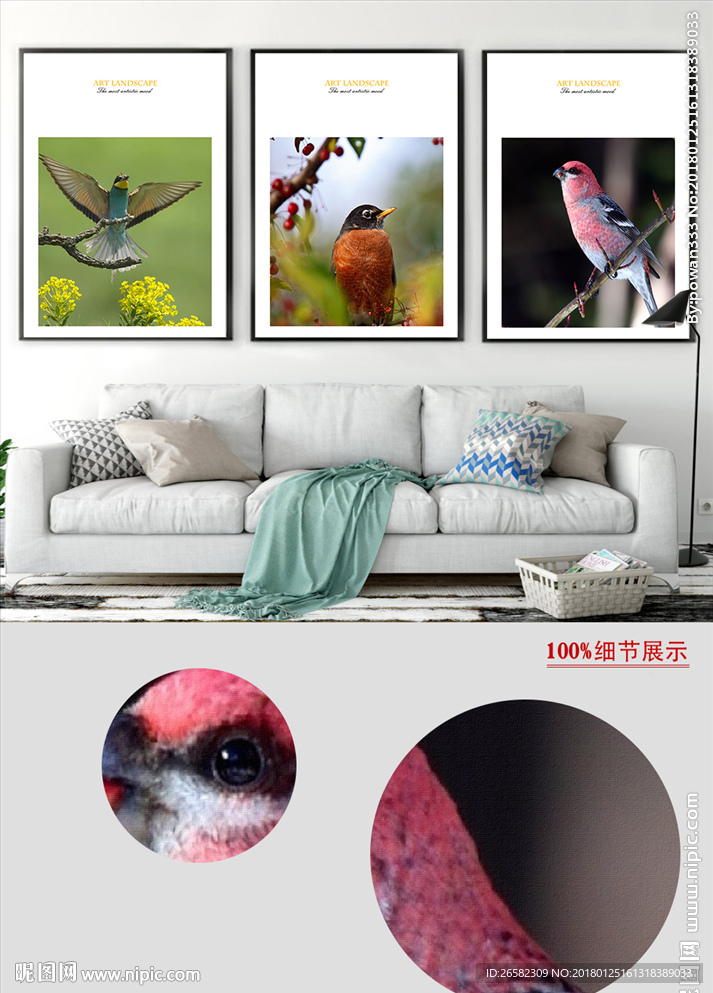 欧式五彩小鸟鹦鹉风景摄影无框画