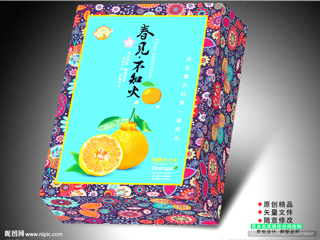 不知火平面图