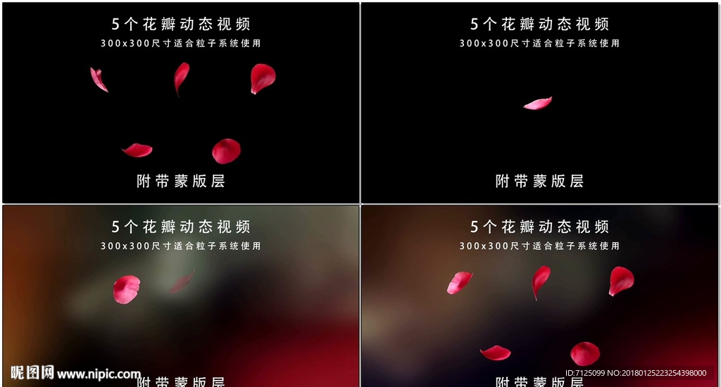 花瓣动态