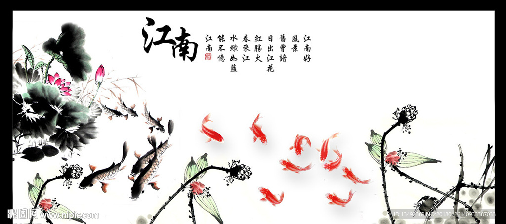 黑白荷花