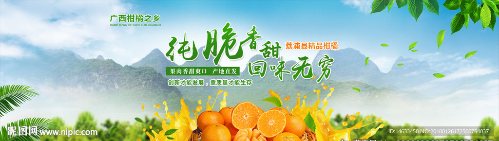 橙子批发销售广告宣传海报