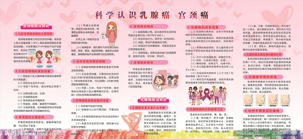 乳腺癌 宫颈癌