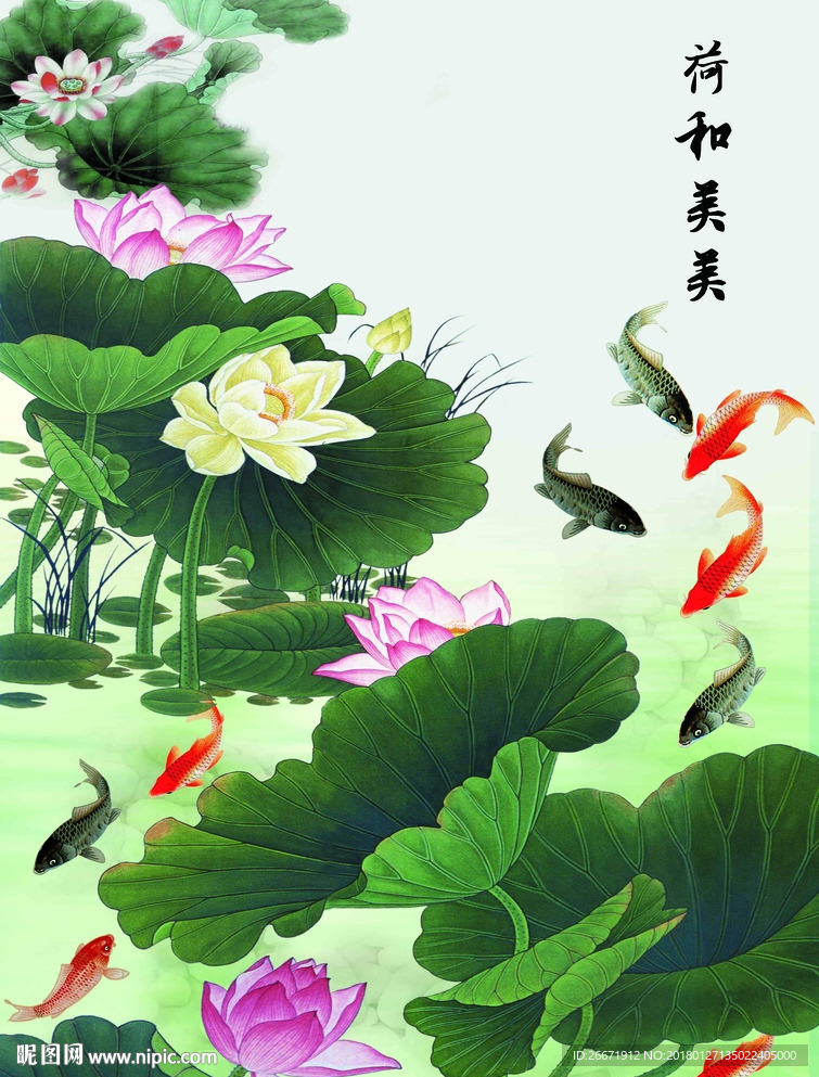 荷和美美