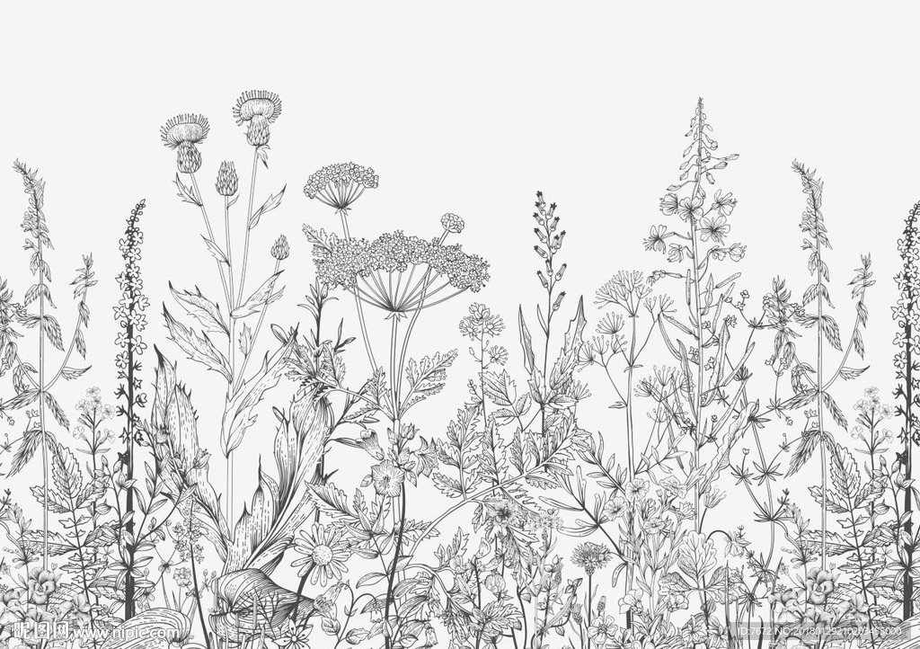 复古手绘花草植物野花