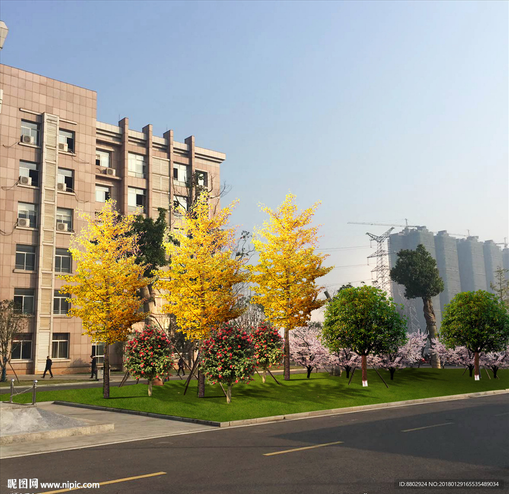 道路两侧绿化带植物配置