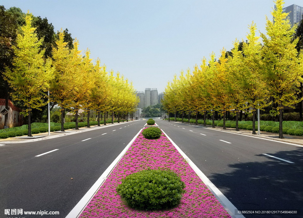 公路景观绿化景观设计