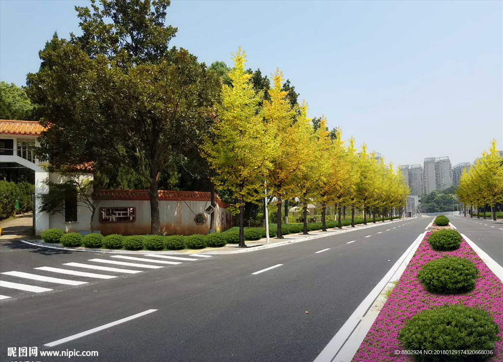 道路景观设计