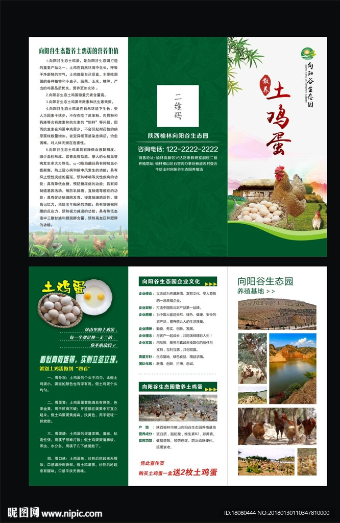 向阳谷生态园散养土鸡蛋宣传三折