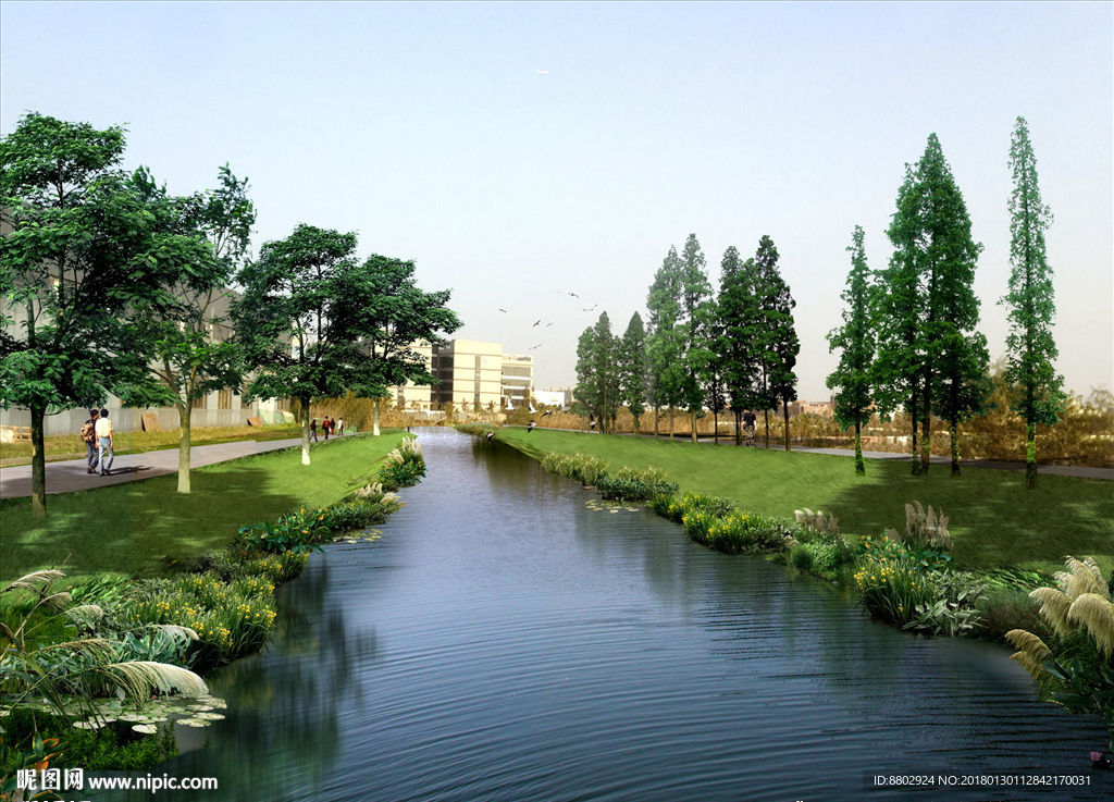 滨河景观植物设计