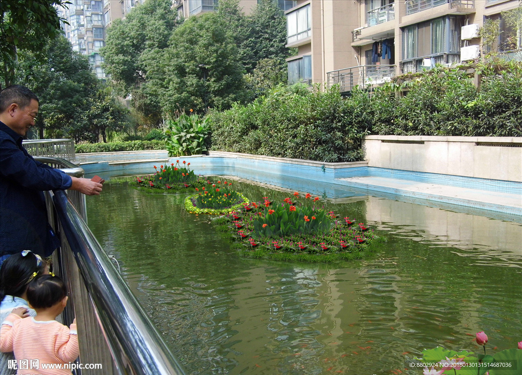 水景植物设计