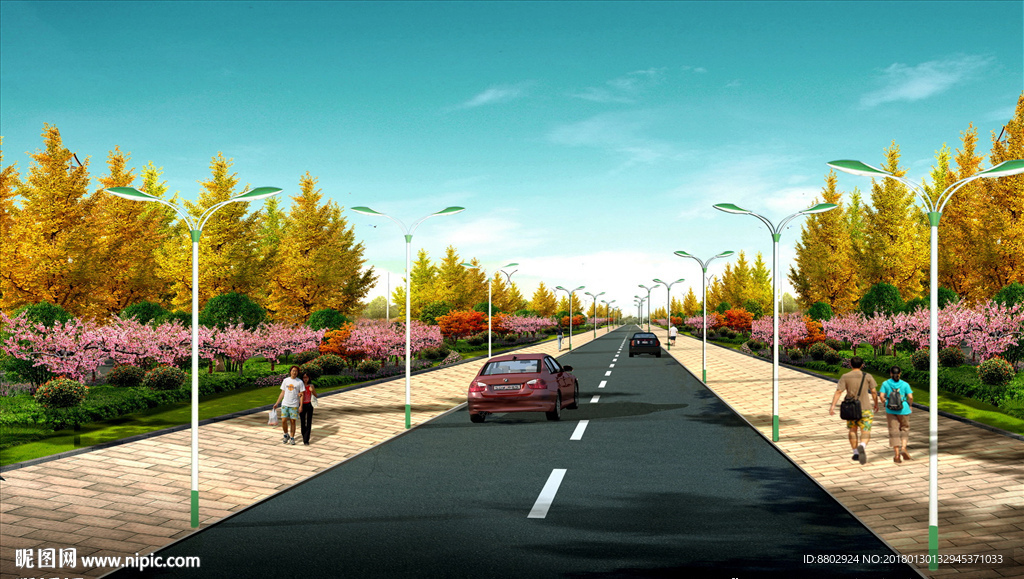 道路绿化设计