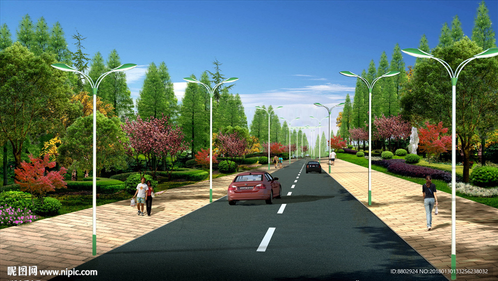 道路绿化设计