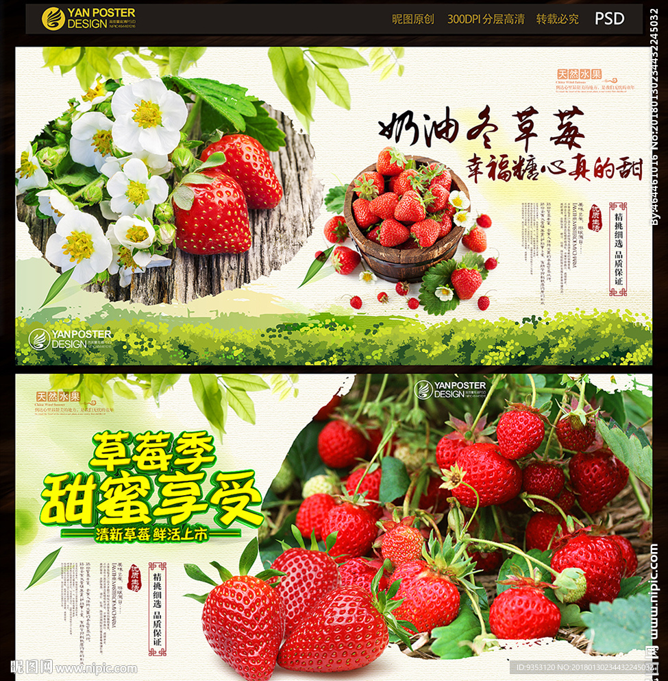 摘草莓