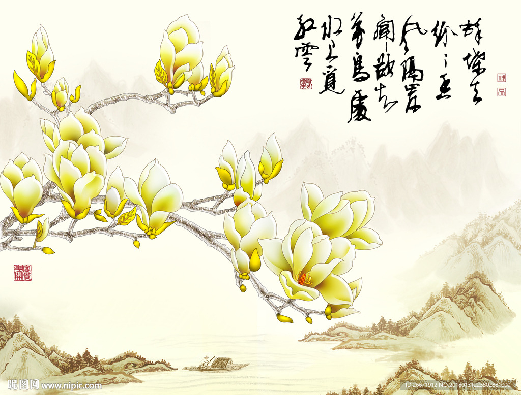 玉兰花