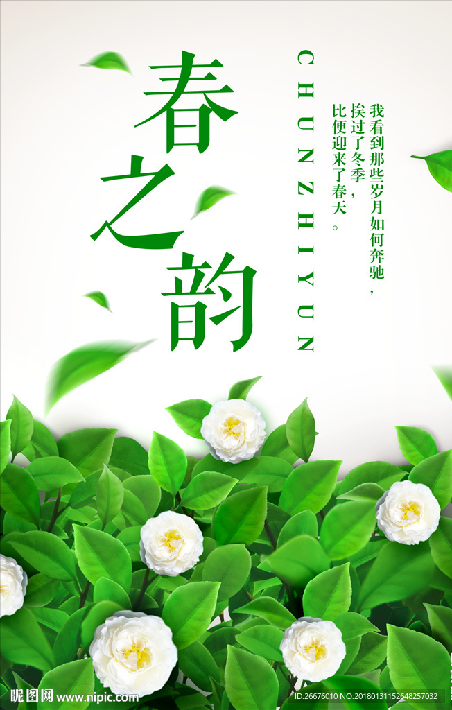 春季上新