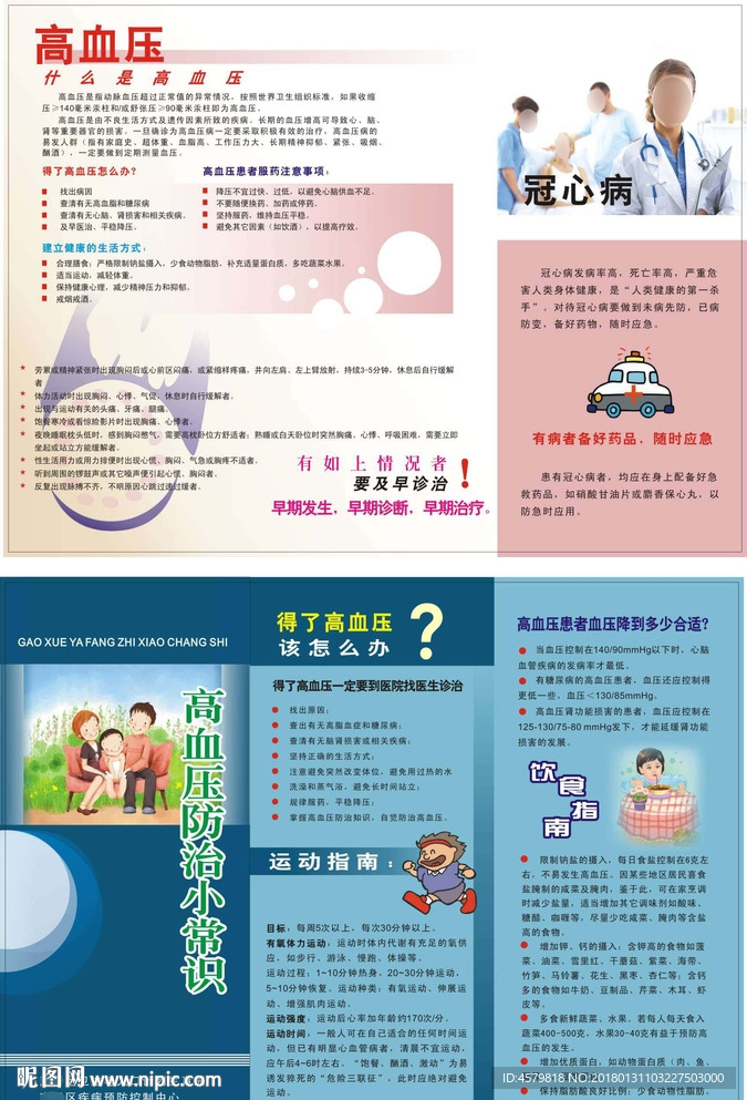 高血压宣传折页