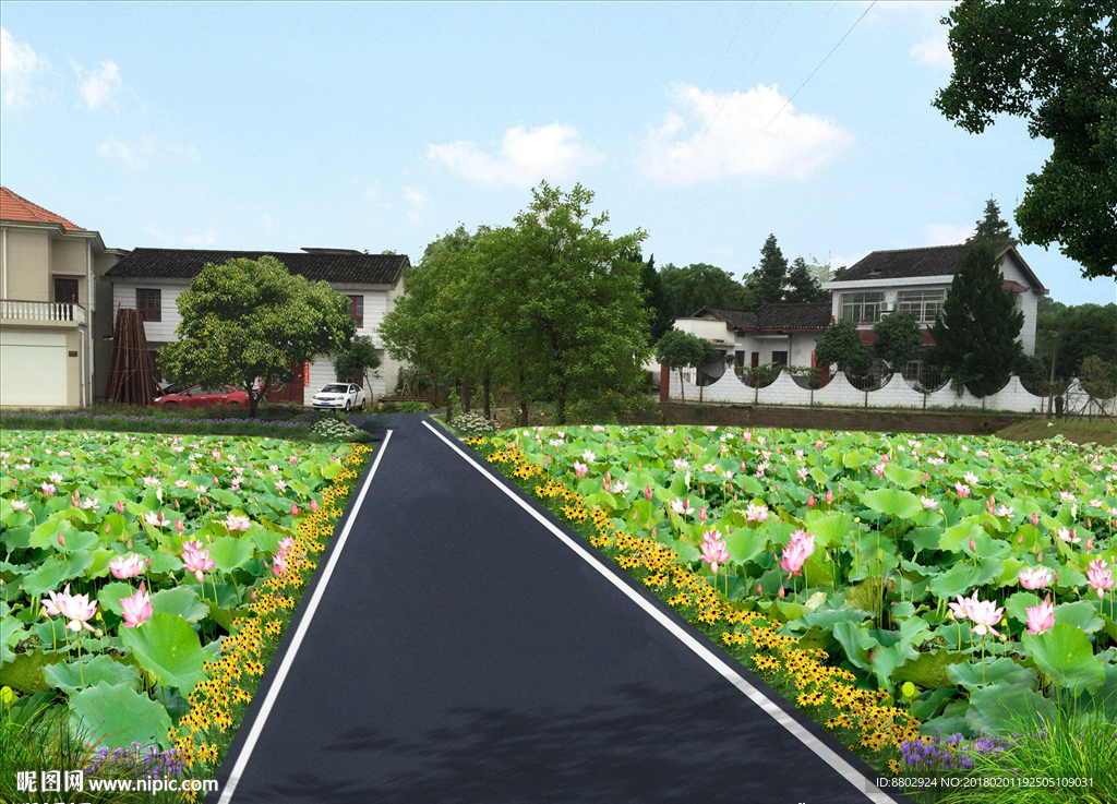 屋前荷花池效果图