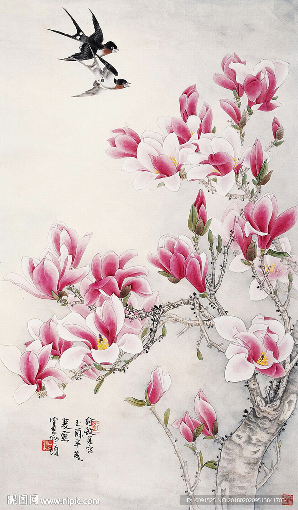 玉兰花壁纸 比翼鸟