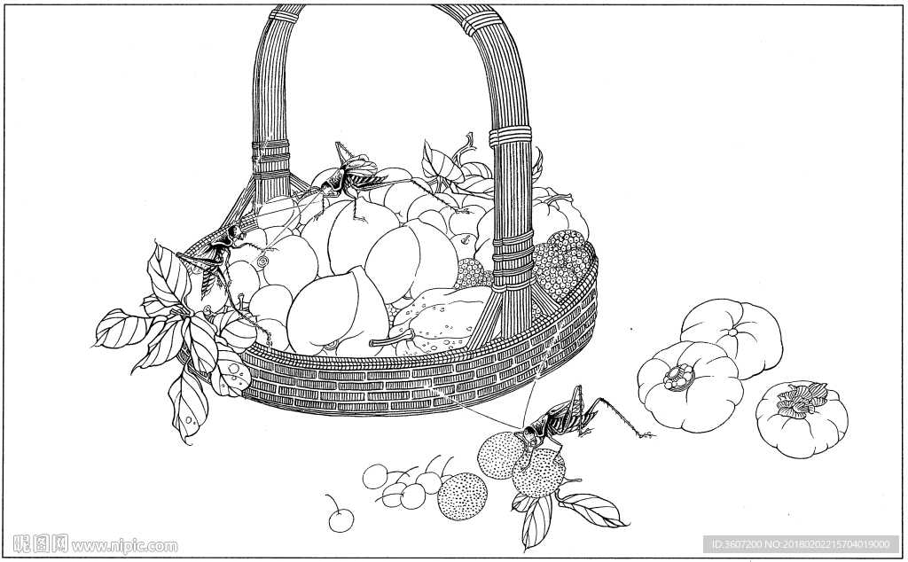 花鸟虫草白描素描 国画工笔