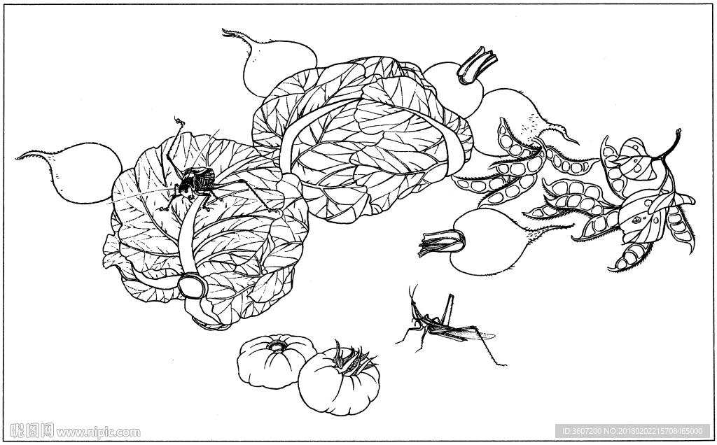 花鸟虫草白描素描 国画工笔