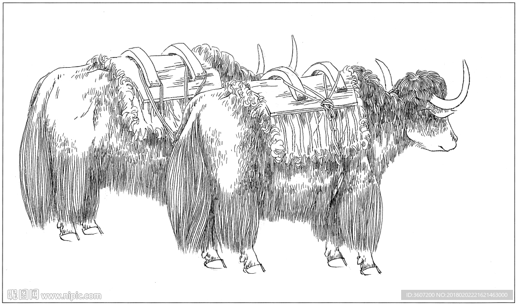 耗牛白描素描线描国画