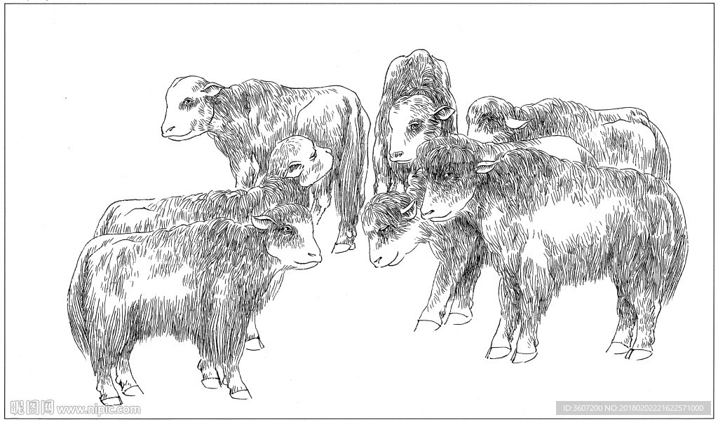 耗牛白描素描线描国画