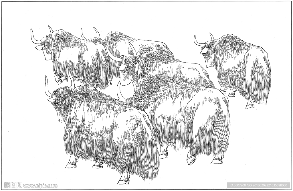 耗牛白描素描线描国画