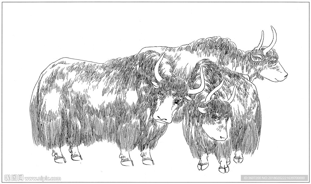 耗牛白描素描线描国画