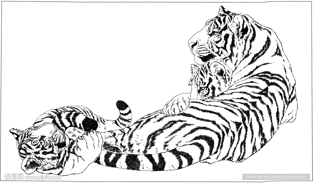 老虎 白描 素描 线描 国画