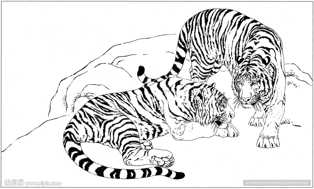 老虎 白描 素描 线描 国画