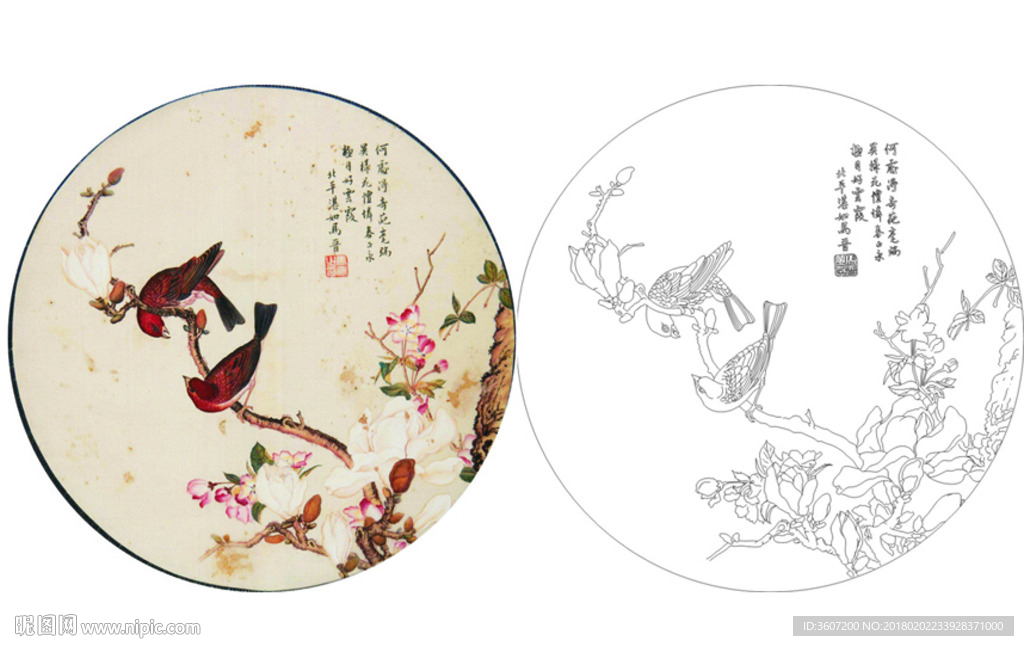 团扇 白描 素描 线描 国画稿