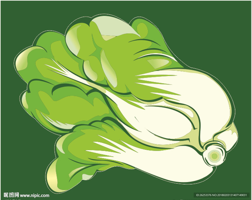 失量白菜