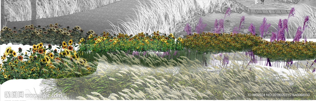 境外风格滨水花境效果图