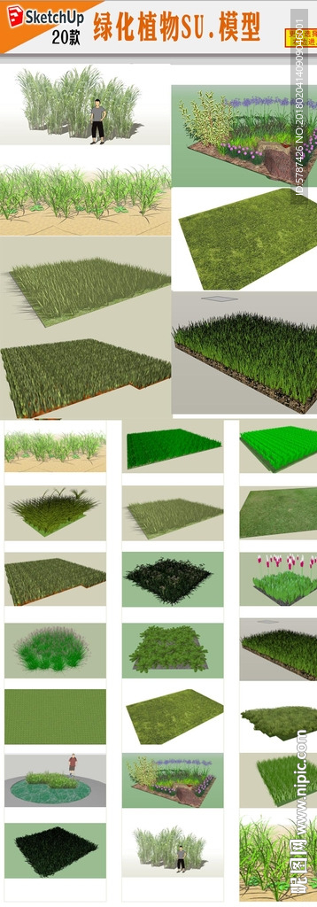 草坪植物SU模型