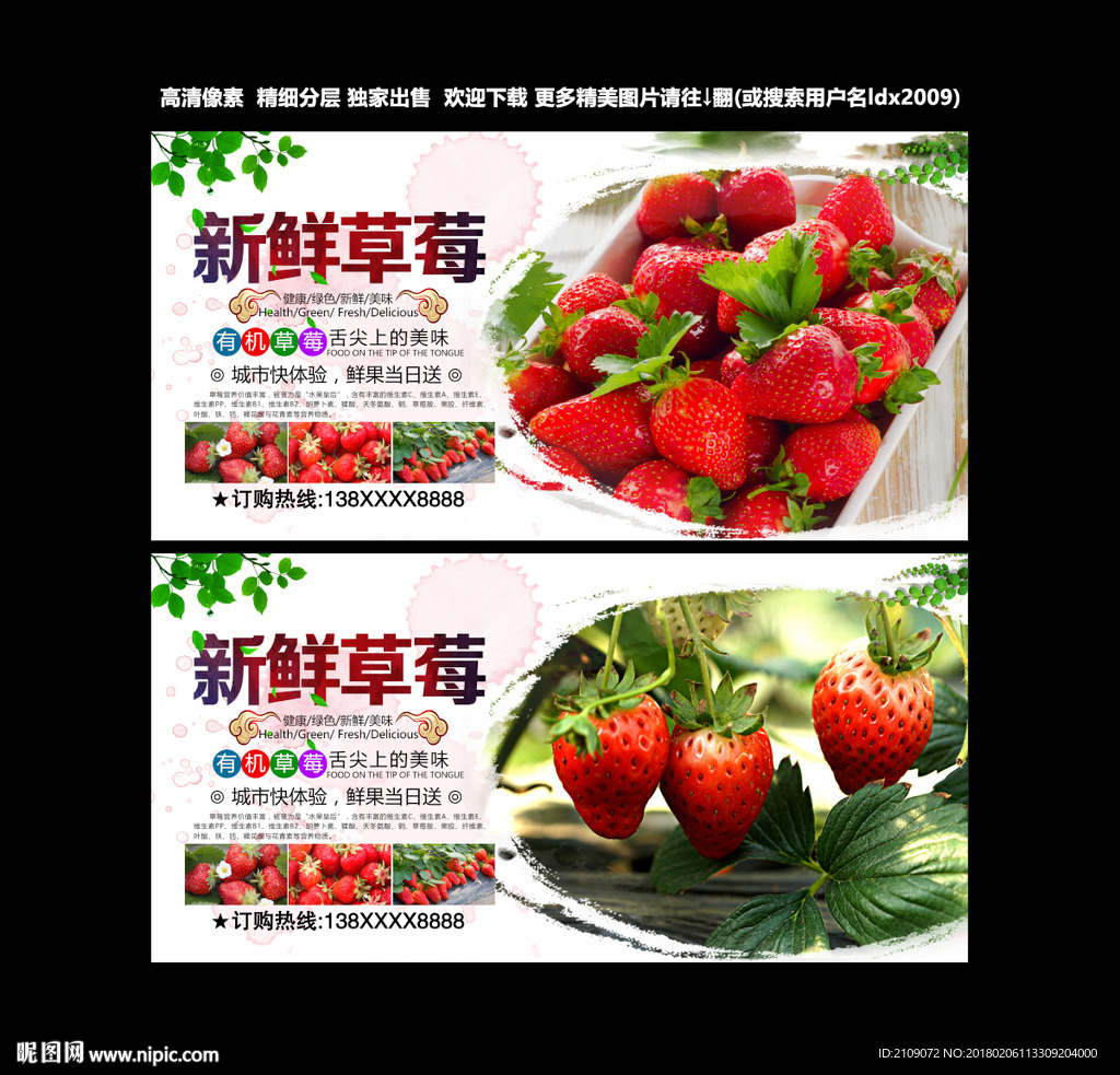 草莓