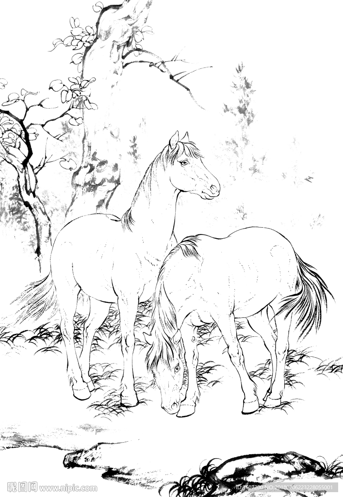 骏马 素描 白描 线描 国画稿