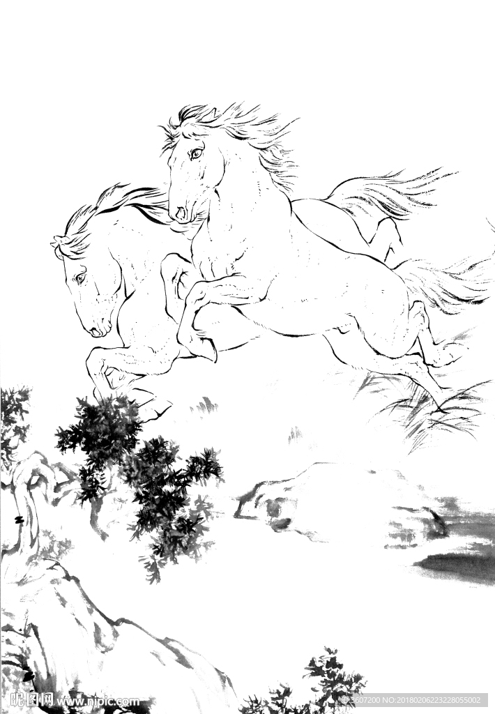 骏马 素描 白描 线描 国画稿