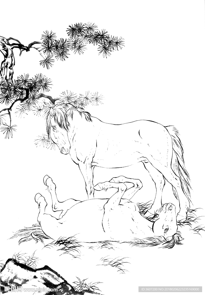骏马 素描 白描 线描 国画稿