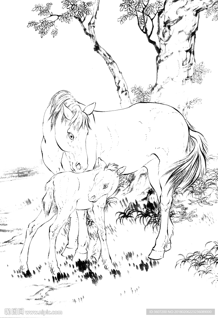 骏马 素描 白描 线描 国画稿