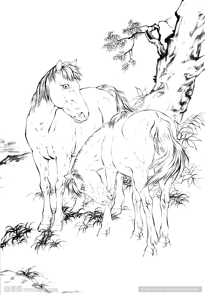 骏马 素描 白描 线描 国画稿