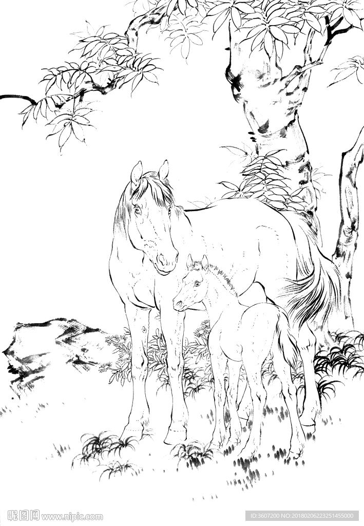 骏马 素描 白描 线描 国画稿