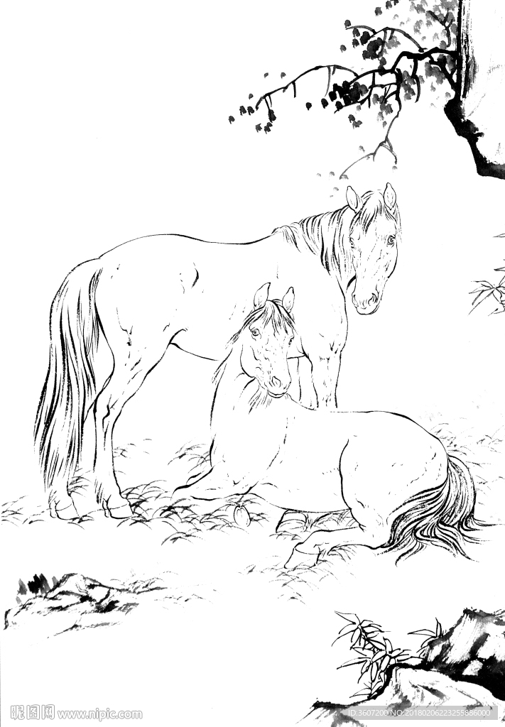 骏马 素描 白描 线描 国画稿