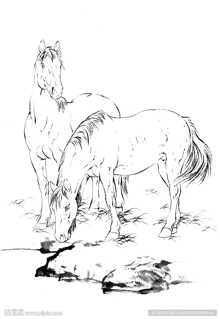 骏马 素描 白描 线描 国画稿