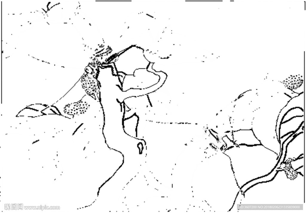 草虫 素描 白描 线描 国画稿